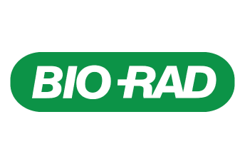 Logo 7